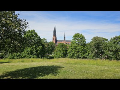 20250702_143218 - Kopie.jpg